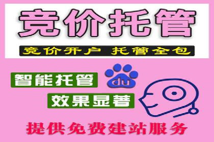 百度搜索推广实战案例：揭秘高效推广背后的秘密